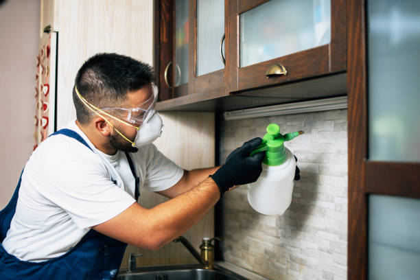 Best Wasp Removal Services  in Ashburn, VA