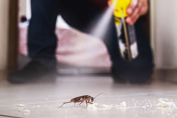 Best Exterminator Services  in Ashburn, VA